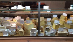 Blomeyer cheese counter