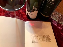 Heinzelwein Feteasca reflection