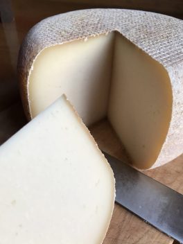 Pyrenäenkäse Langenburg cut very close