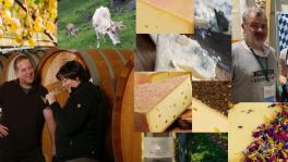 HCT Riffel & Kaeskuche