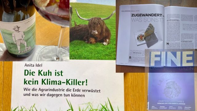 Heinzelnews Juli 2024