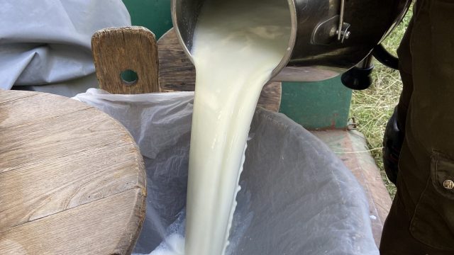 Heinzelcheesetalk #111