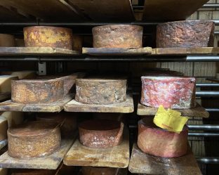 Rinden Keller Willi Schmid