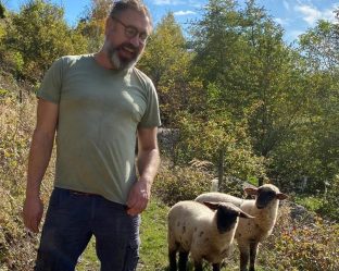 Heinzelcheesetalk Schafskäse