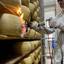 Parmigiano Reggiano