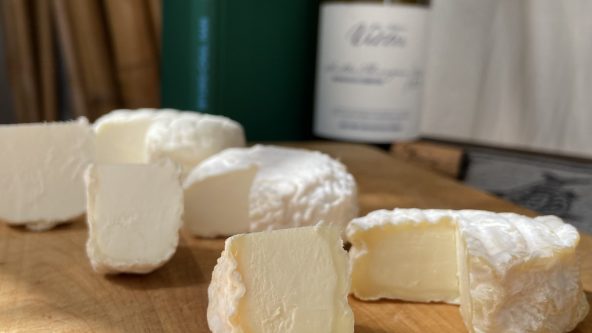 HeinzelcheeseLetter September 2025