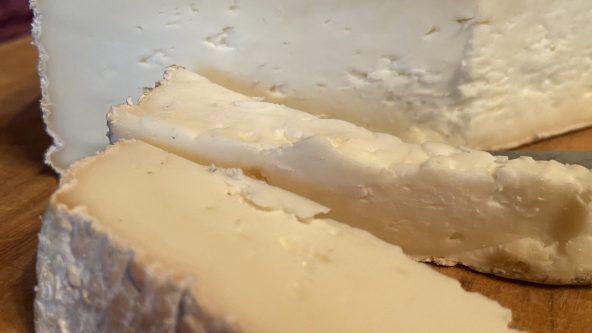 HeinzelcheeseLetter November 2025