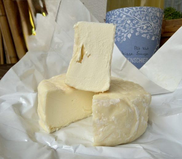 HeinzelcheeseLetter April 2026